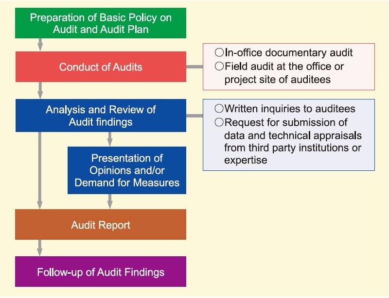 Procedures of the Audit