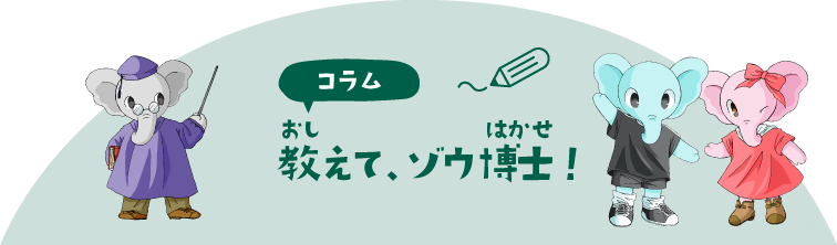 コラム　教えて、ソウ博士！