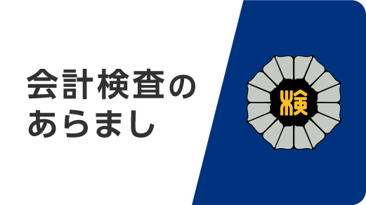 会計検査のあらまし